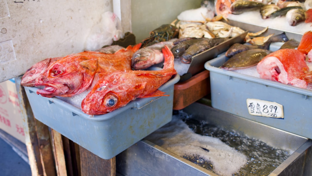Fresh Seafood: Ocean Pollutants on Your Plate (image credits: unsplash)