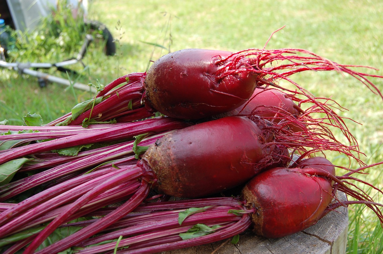 4. Beets (image credits: pixabay)