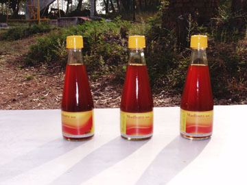 The Future of Sorghum Syrup (image credits: wikimedia)
