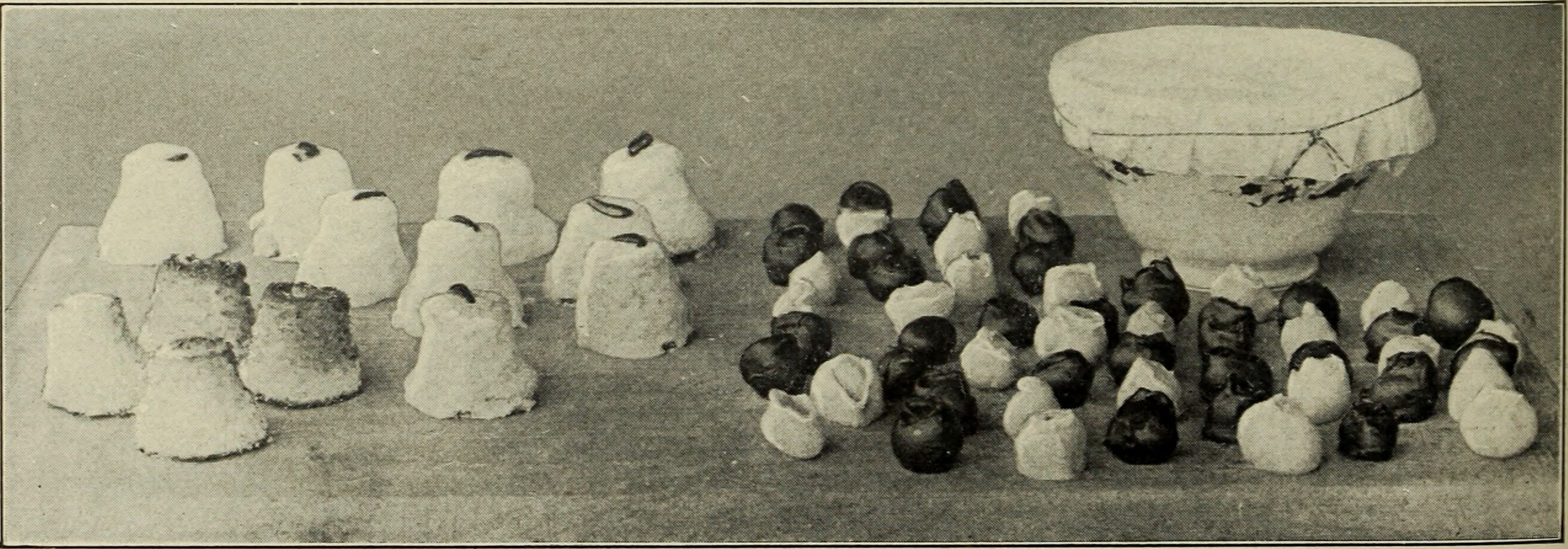 Fondant Fails (image credits: wikimedia)