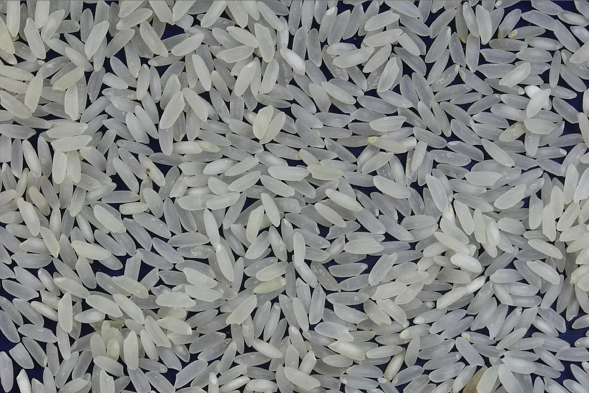 2. Rice (By Sanjay Acharya, CC BY-SA 3.0)