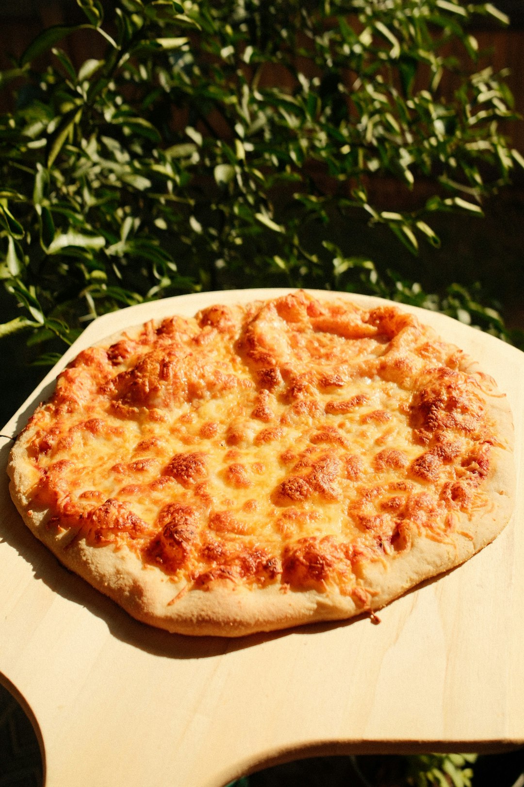 The McPizza Experiment That Took Forever (image credits: unsplash)