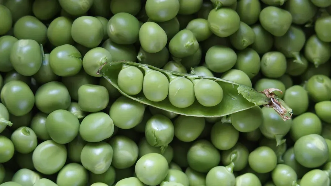 Green Peas: Small But Mighty (Image Credits: Unsplash)