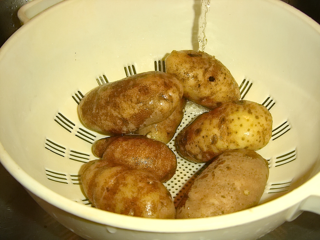 Potatoes: The Underground Truth About Proper Scrubbing (image credits: wikimedia)