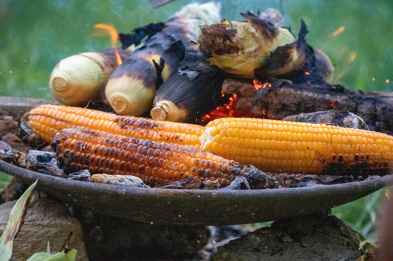 8. Grilled Corn on the Cob (image credits: pixabay)