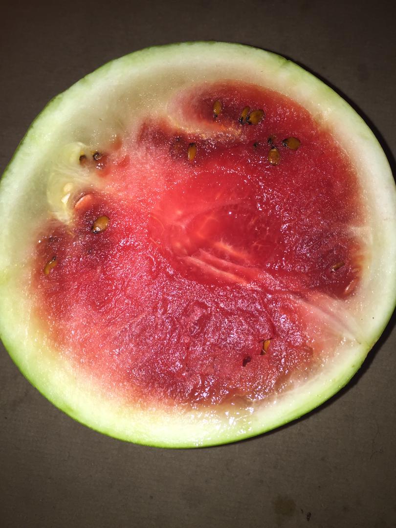 Watermelon Rinds: The Surprising Superfood You're Composting (image credits: wikimedia)