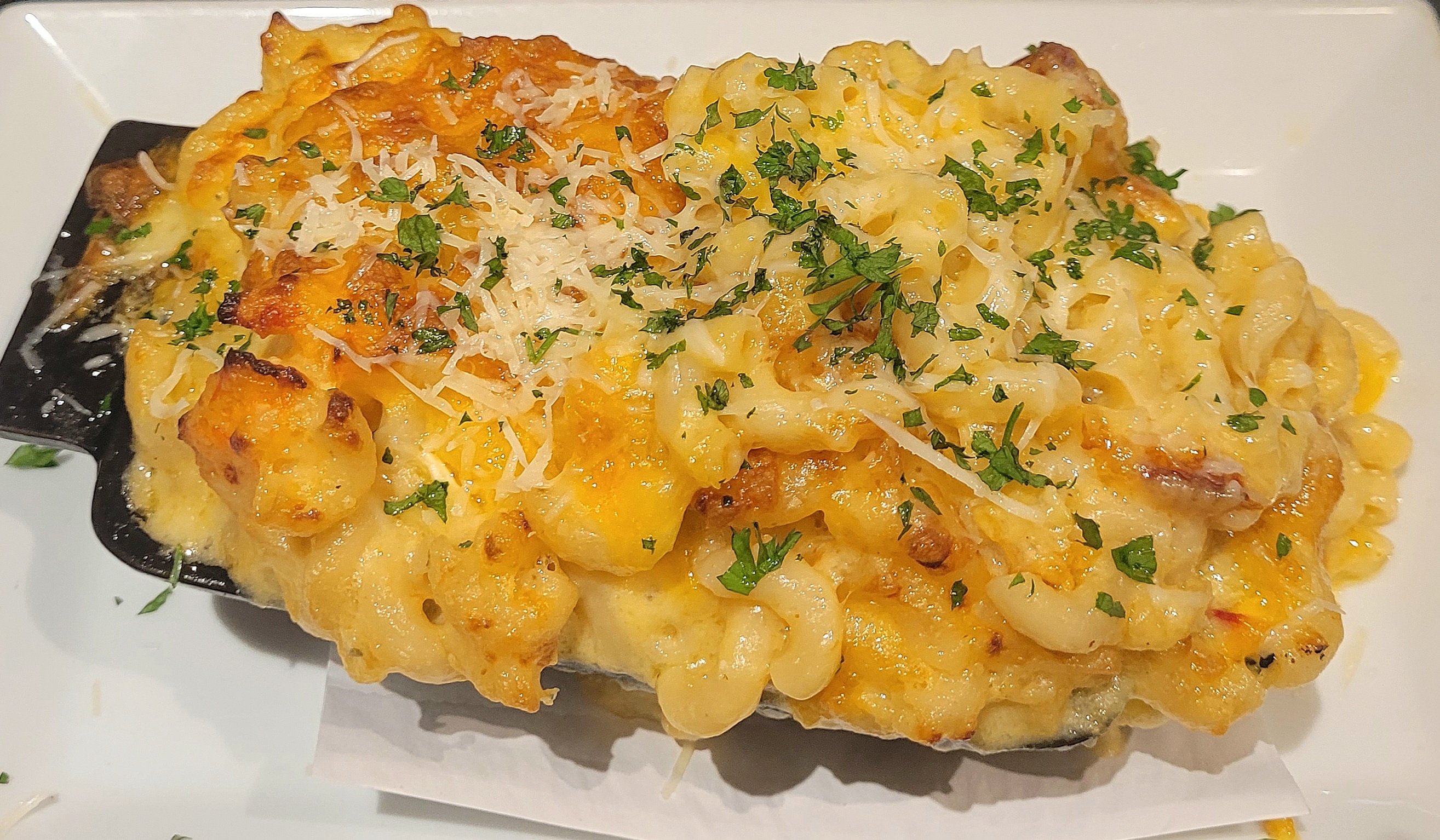 Lobster Mac and Cheese – All Show, No Substance (image credits: wikimedia)