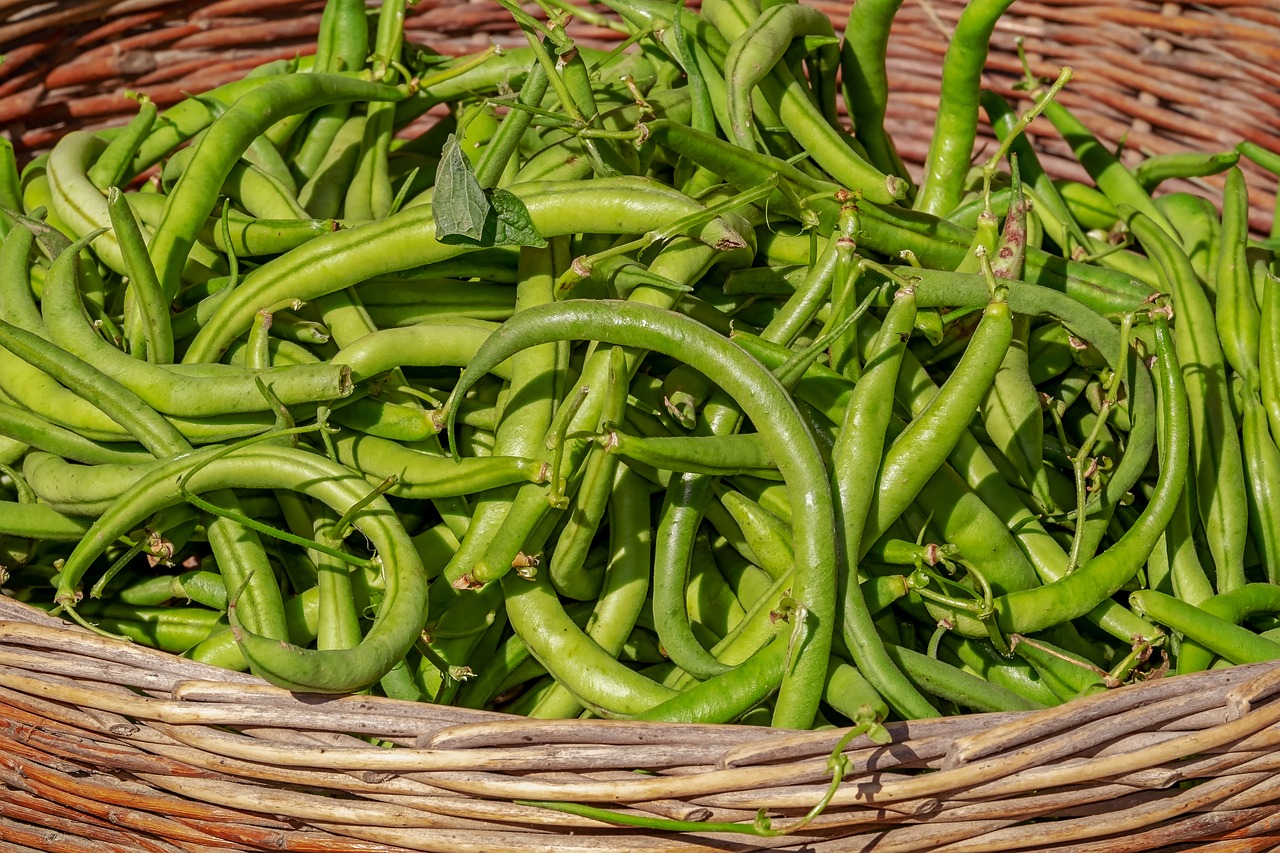 Green Beans: Fiber-Rich and Satisfying (image credits: pixabay)