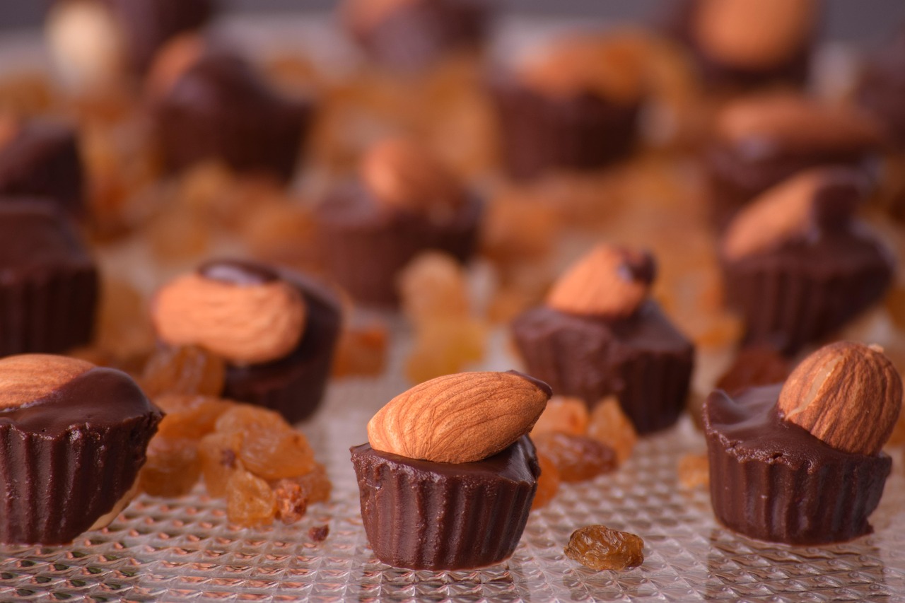 Dark Chocolate-Covered Almonds (image credits: pixabay)
