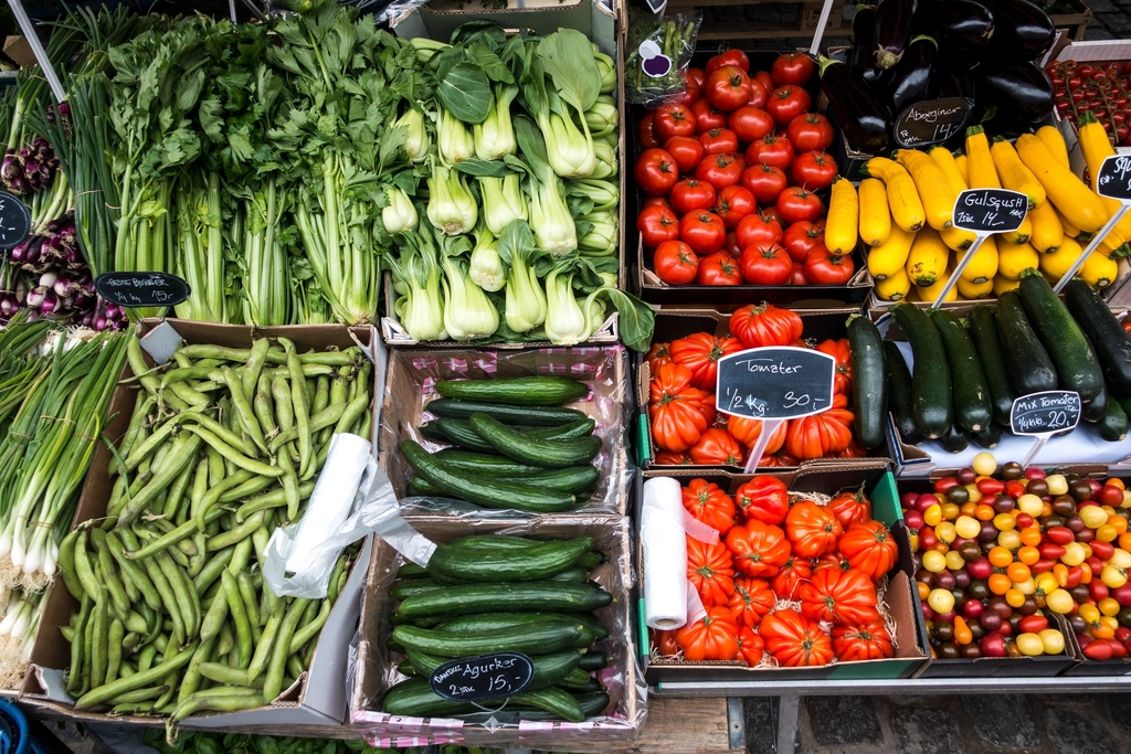 Know What Your Senses Can Tell You (image credits: rawpixel)