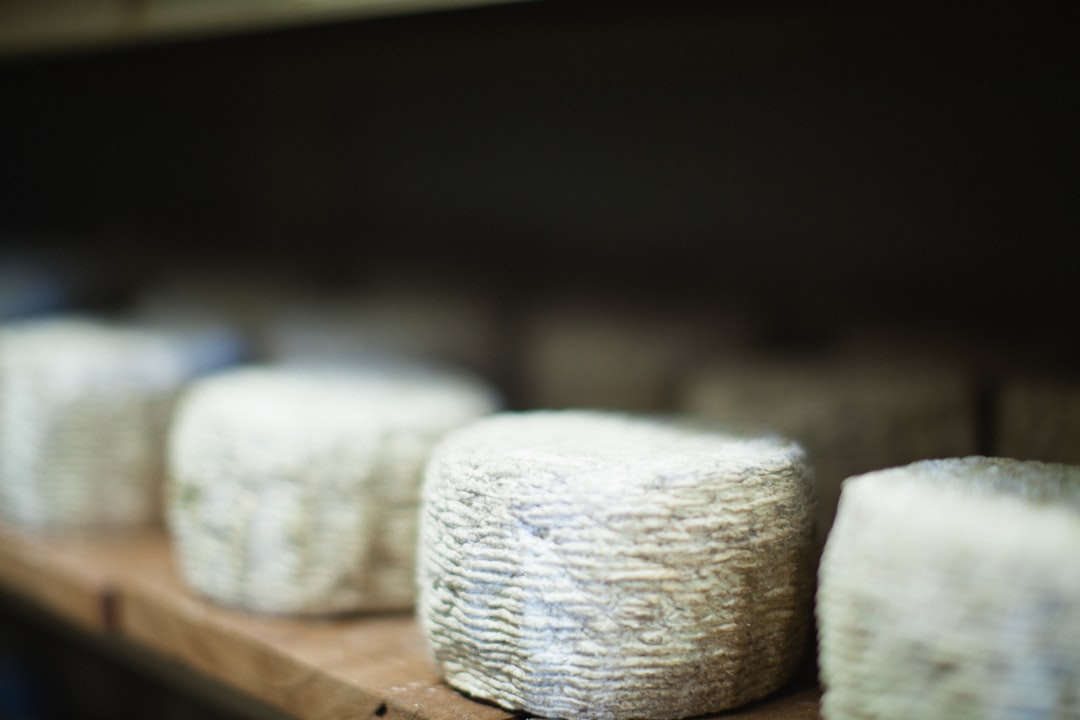 Goat Cheese: The Digestive-Friendly Option (image credits: unsplash)