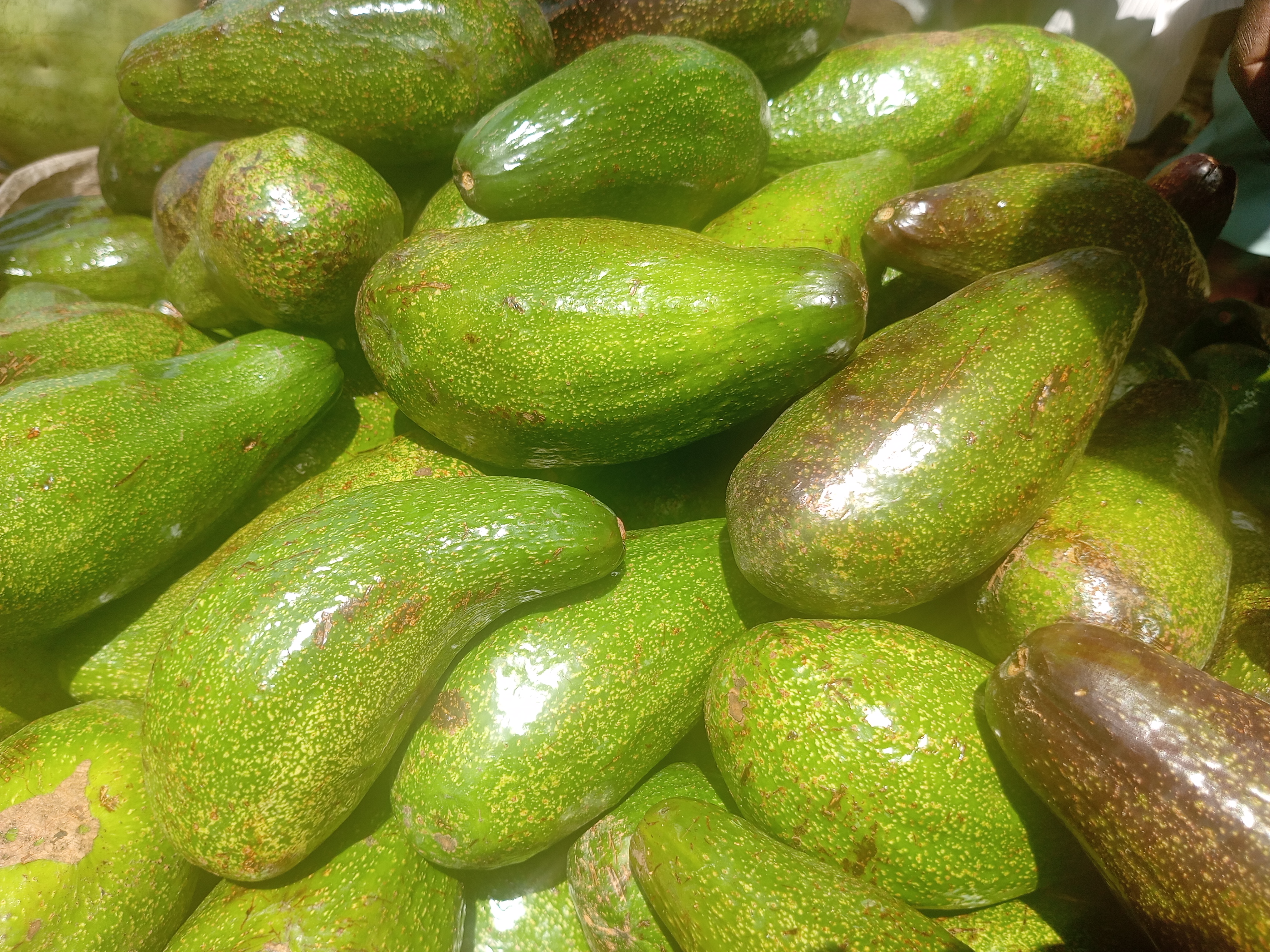 Mexico’s Export Boom and Taste Innovation (image credits: wikimedia)