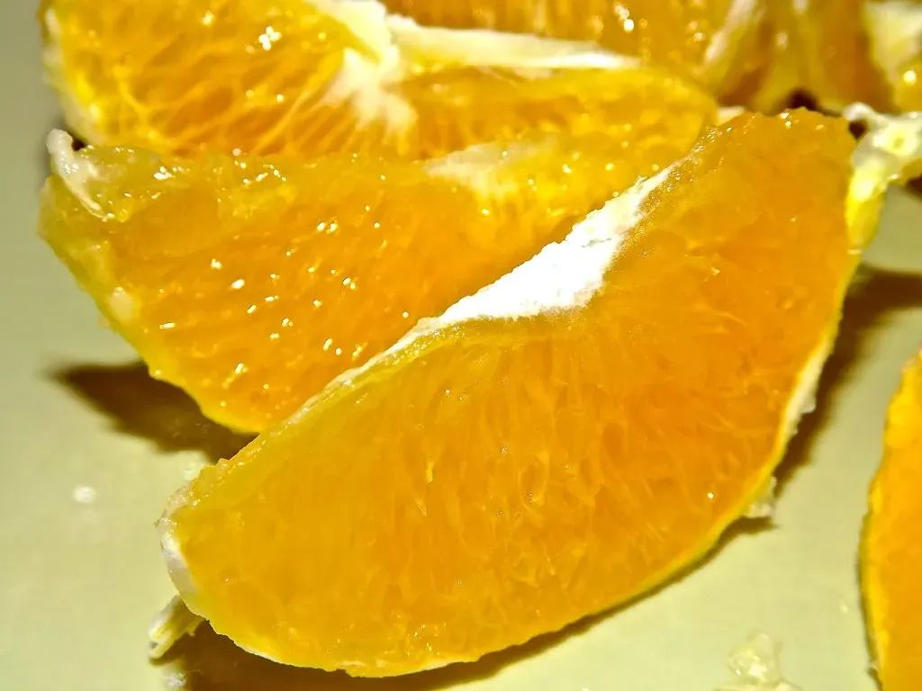 Libra: Citrus Superfoods and Aesthetic Wellness (Image Credits: Flickr)
