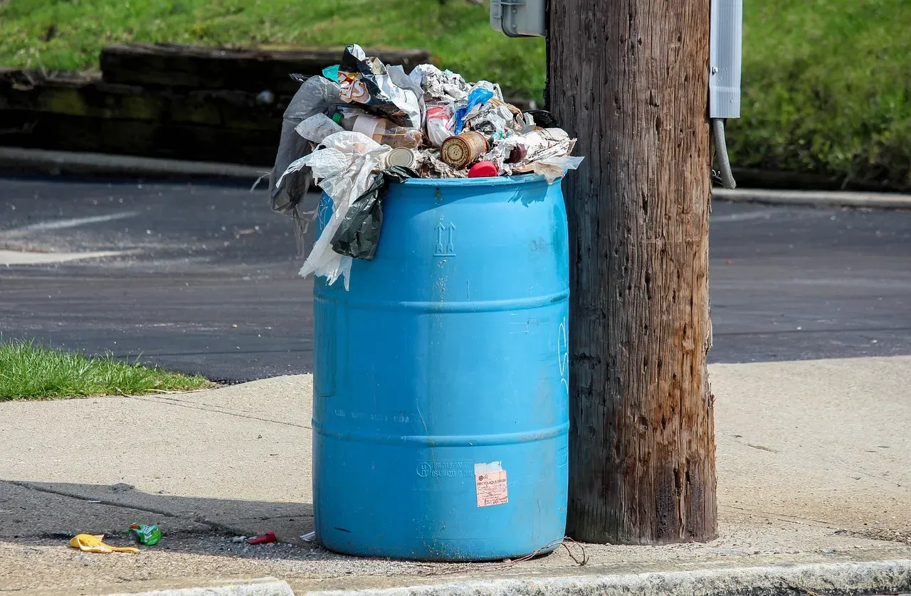 Poor Garbage and Waste Management (Image Credits: Pixabay)