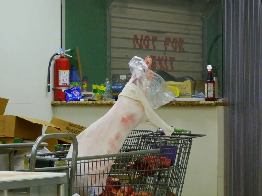 7. Their Grocery Cart Is Full of Staples Instead of Trendy Health Products (Image Credits: Flickr)