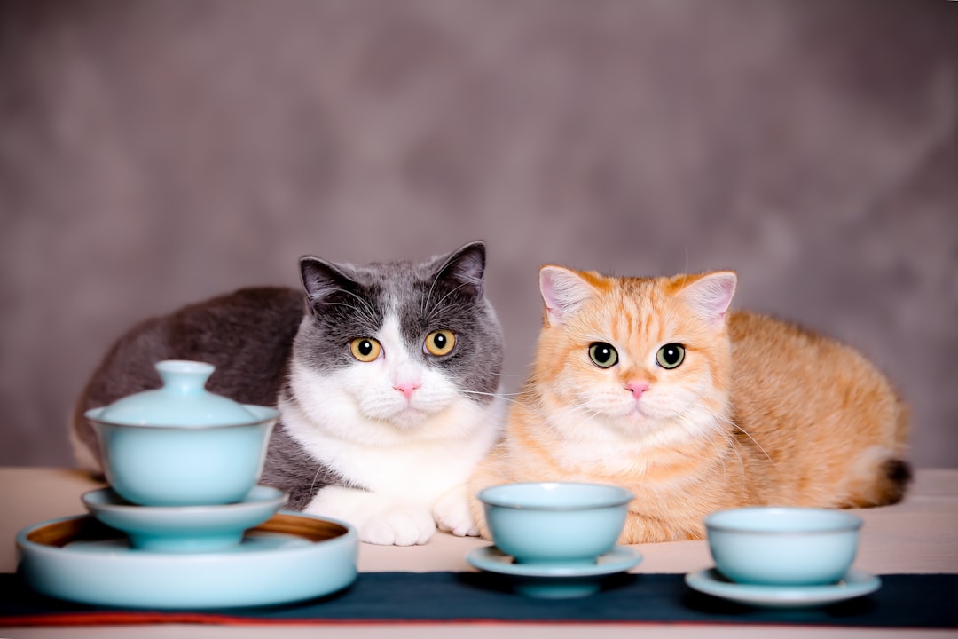 When Pets Were Part of the Place Setting (image credits: unsplash)