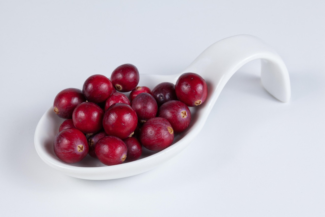 Cranberries: The Tart Antioxidant Booster (image credits: pixabay)