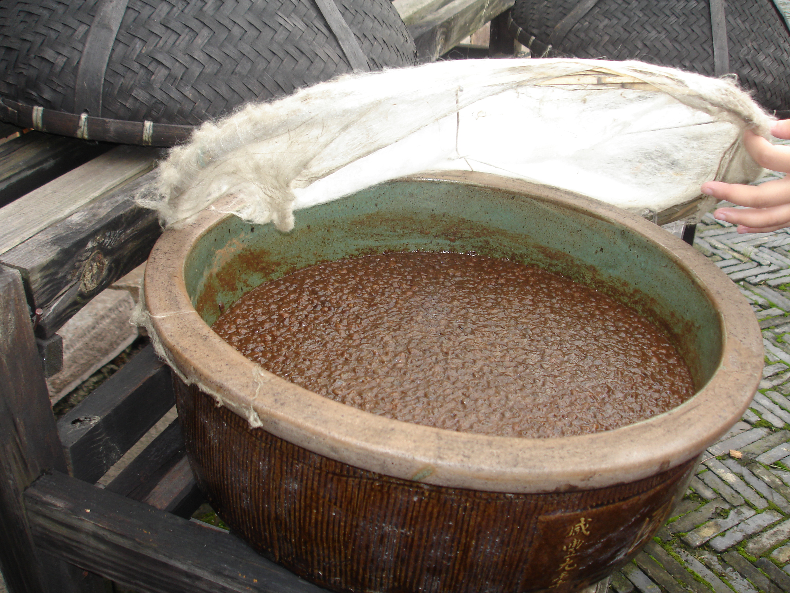 9. Fermented Foods (image credits: wikimedia)