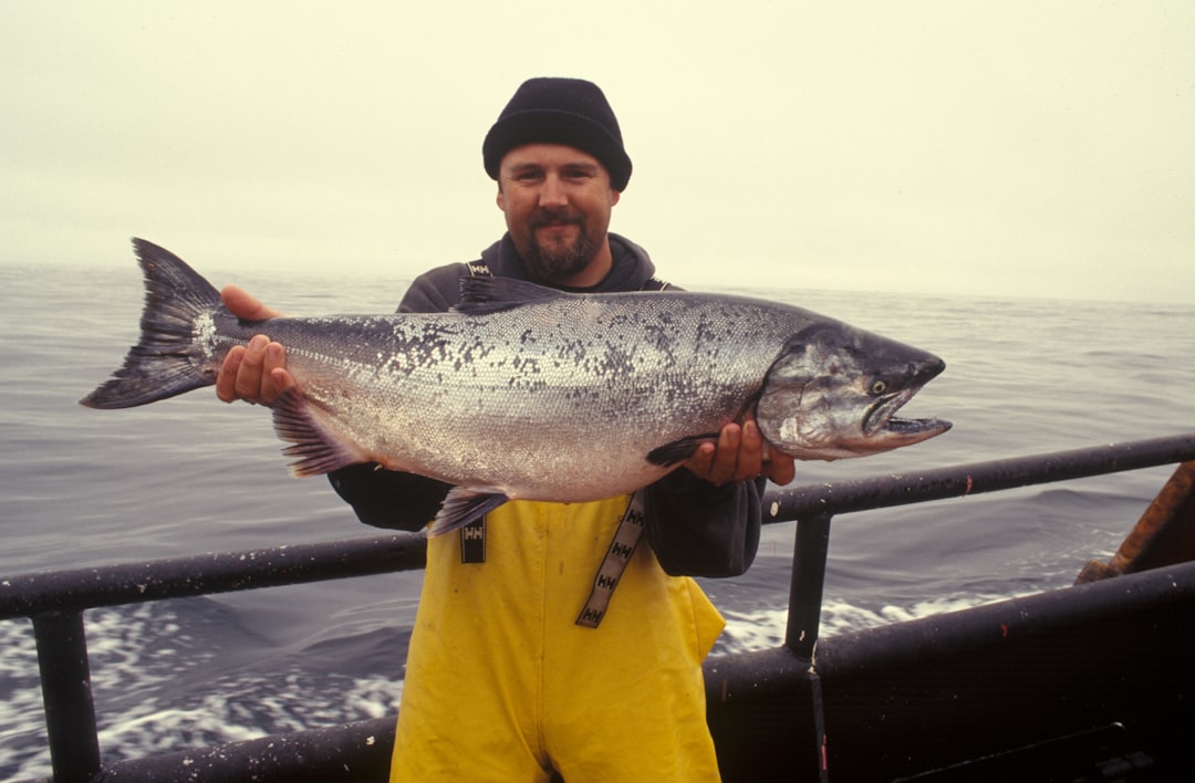 Fatty Fish (Especially Alaskan Salmon) (image credits: unsplash)