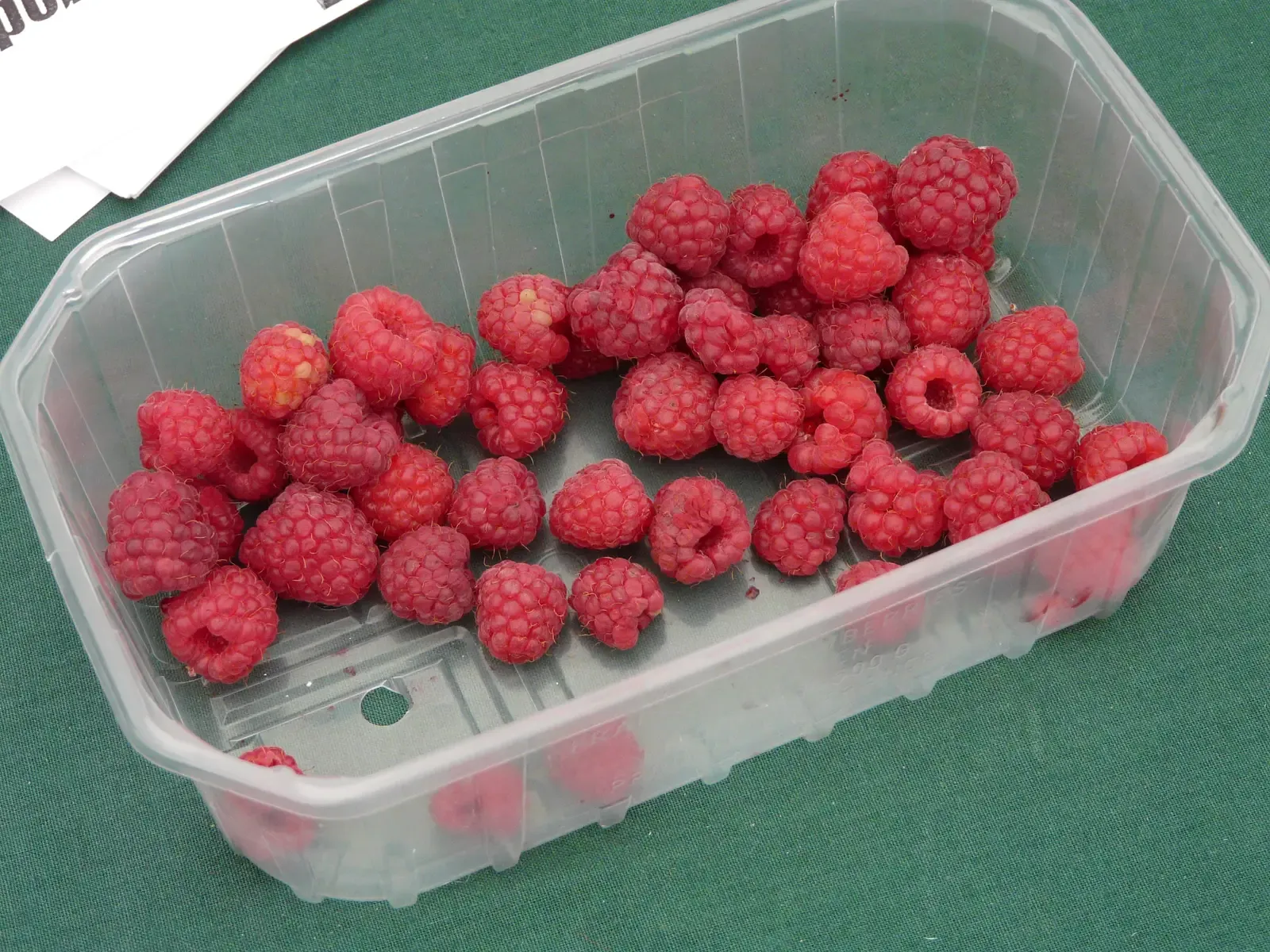 Raspberries: The Overlooked Berry Champion (Image Credits: Wikimedia)