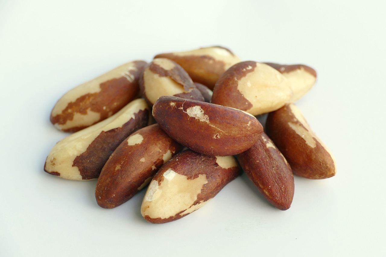 Brazil Nuts: Selenium Giant, Handle with Care (image credits: pixabay)