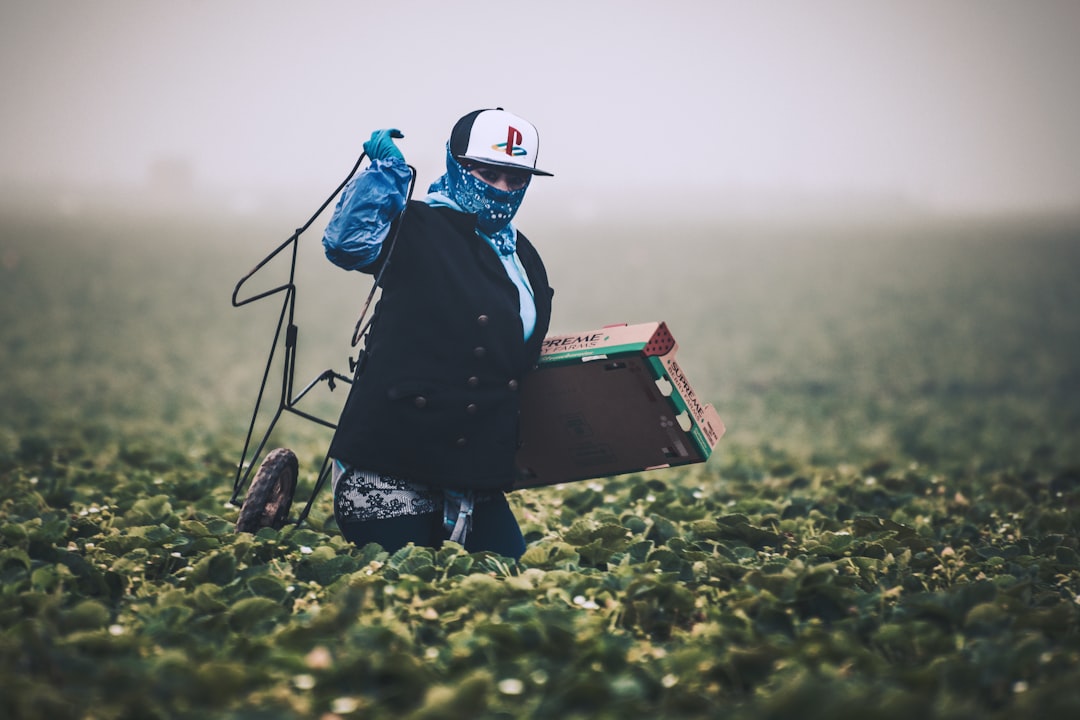 The Risks of Non-Organic Produce (image credits: unsplash)