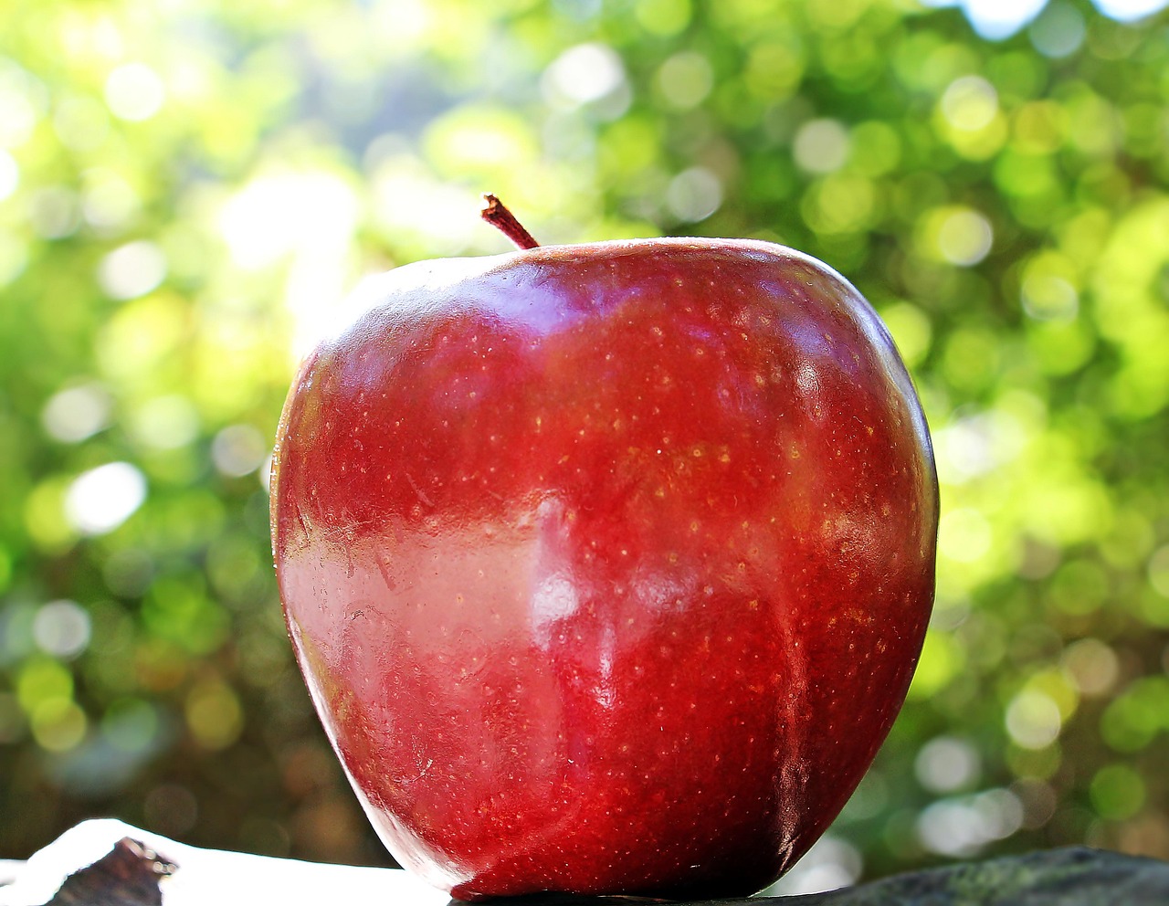 Apples: The Classic Fiber Fruit (image credits: pixabay)