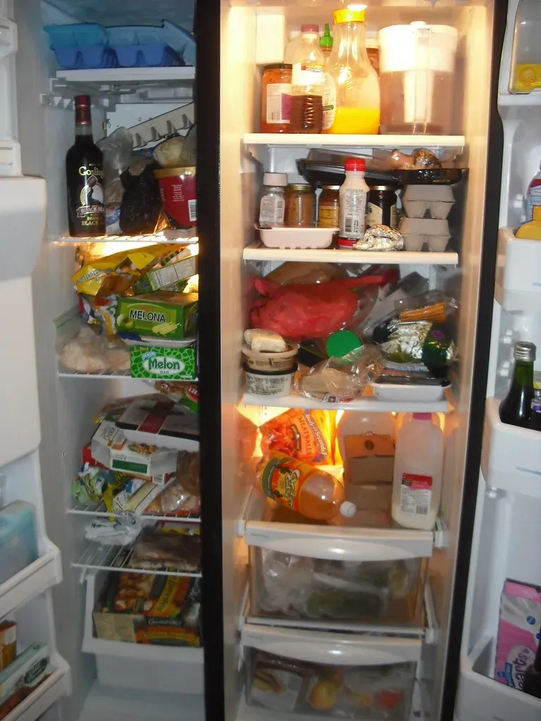 The Overfilled Fridge Problem (Image Credits: Flickr)