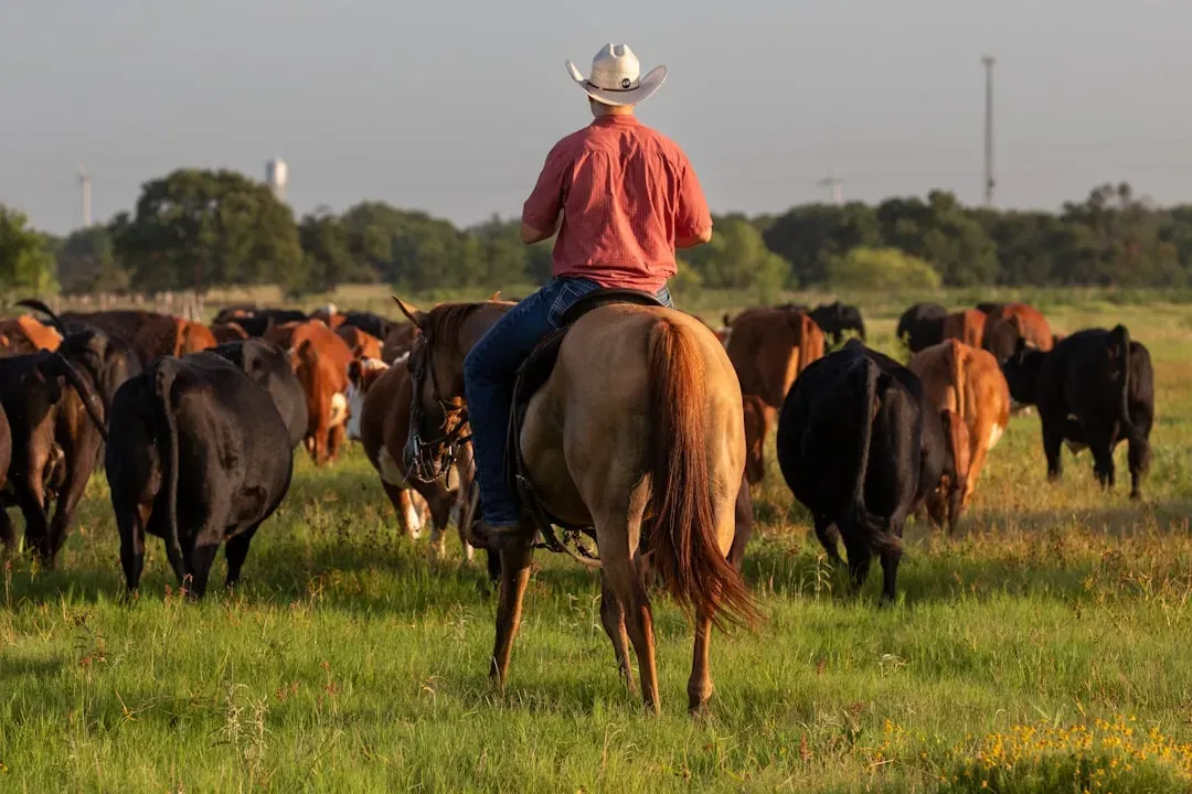 The Financial Squeeze Nobody Talks About (Image Credits: Unsplash)