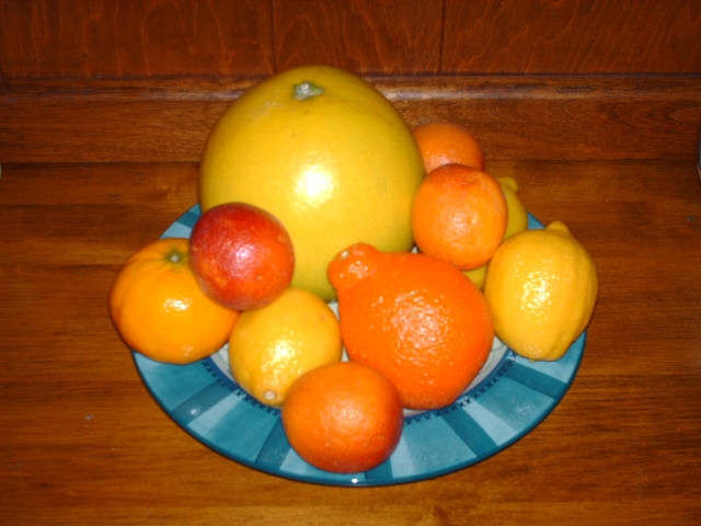 Popular Citrus Varieties and Their Uses (image credits: wikimedia)