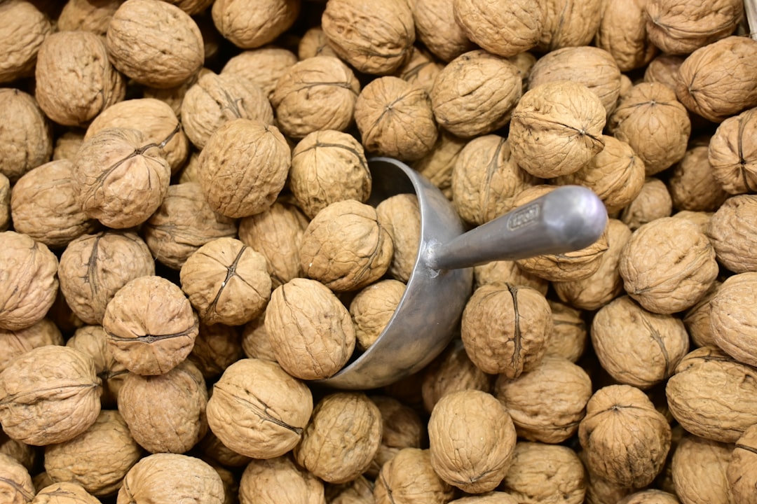 Nuts That Forgot How to Nut (image credits: unsplash)