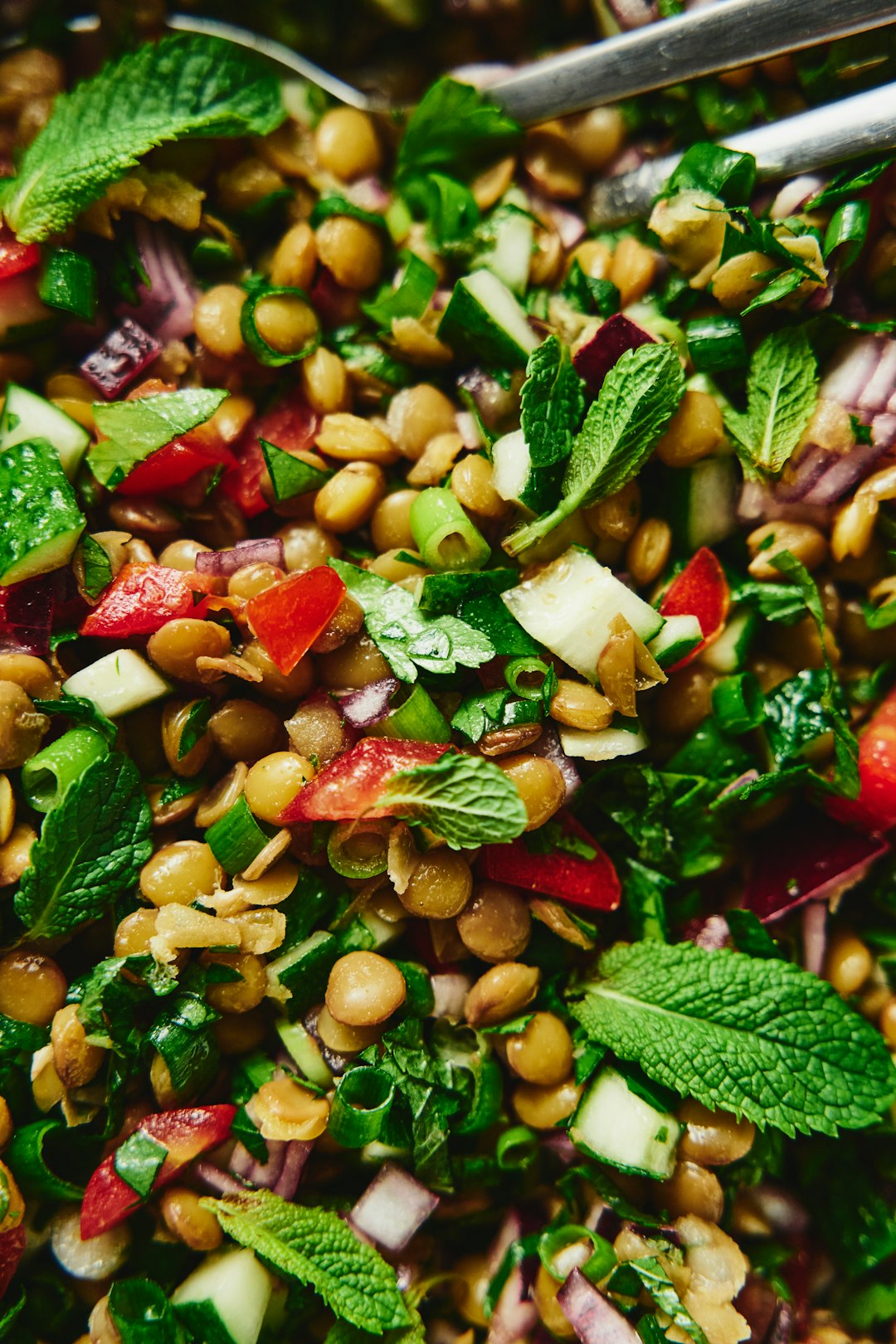The Plant-Based Protein Revolution (image credits: unsplash)