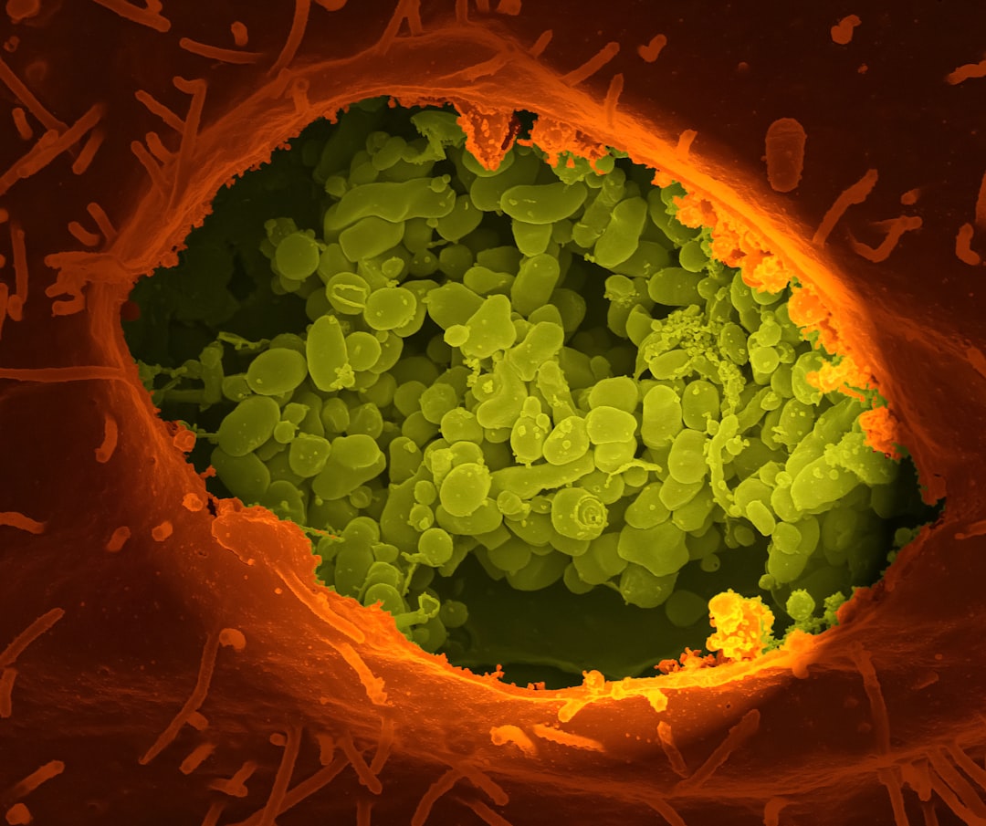 Gut Bacteria: The Hidden Players in Your Body (image credits: unsplash)