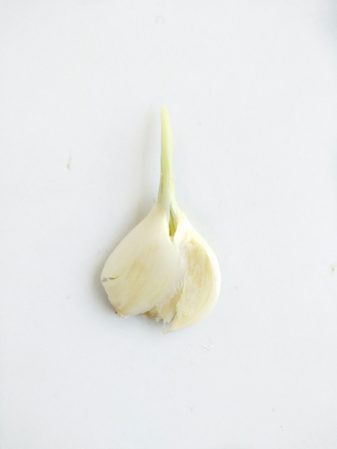 The Storage Mistakes Destroying Your Garlic's Power (image credits: unsplash)