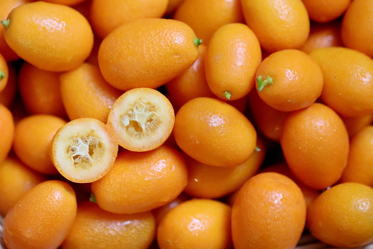 Oranges: The Classic Citrus (image credits: pixabay)