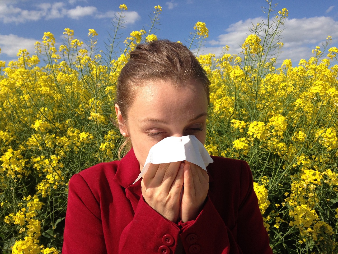 Allergies, Sensitivities, and Immune Response (image credits: pixabay)