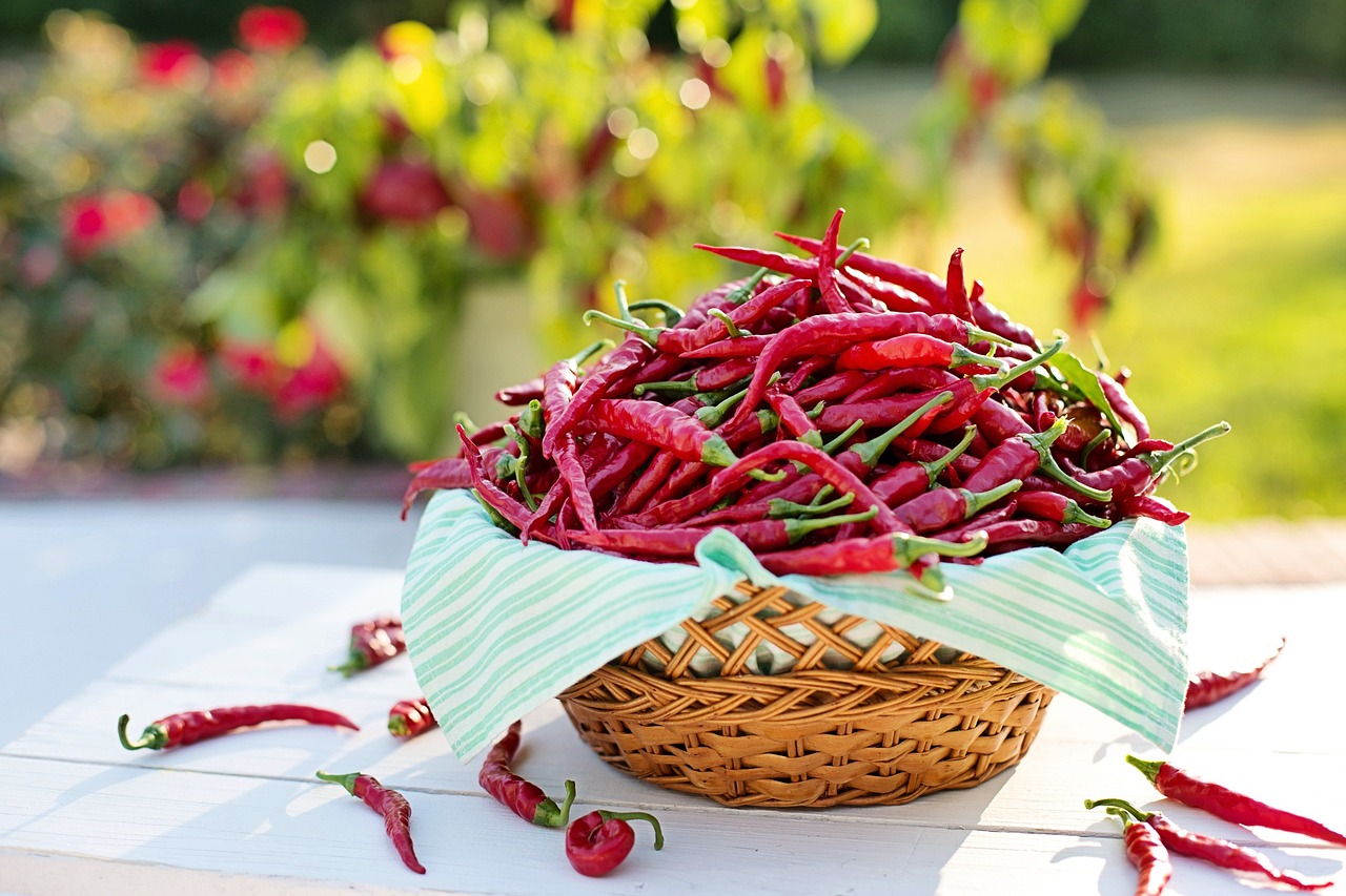 Chili Peppers (image credits: pixabay)