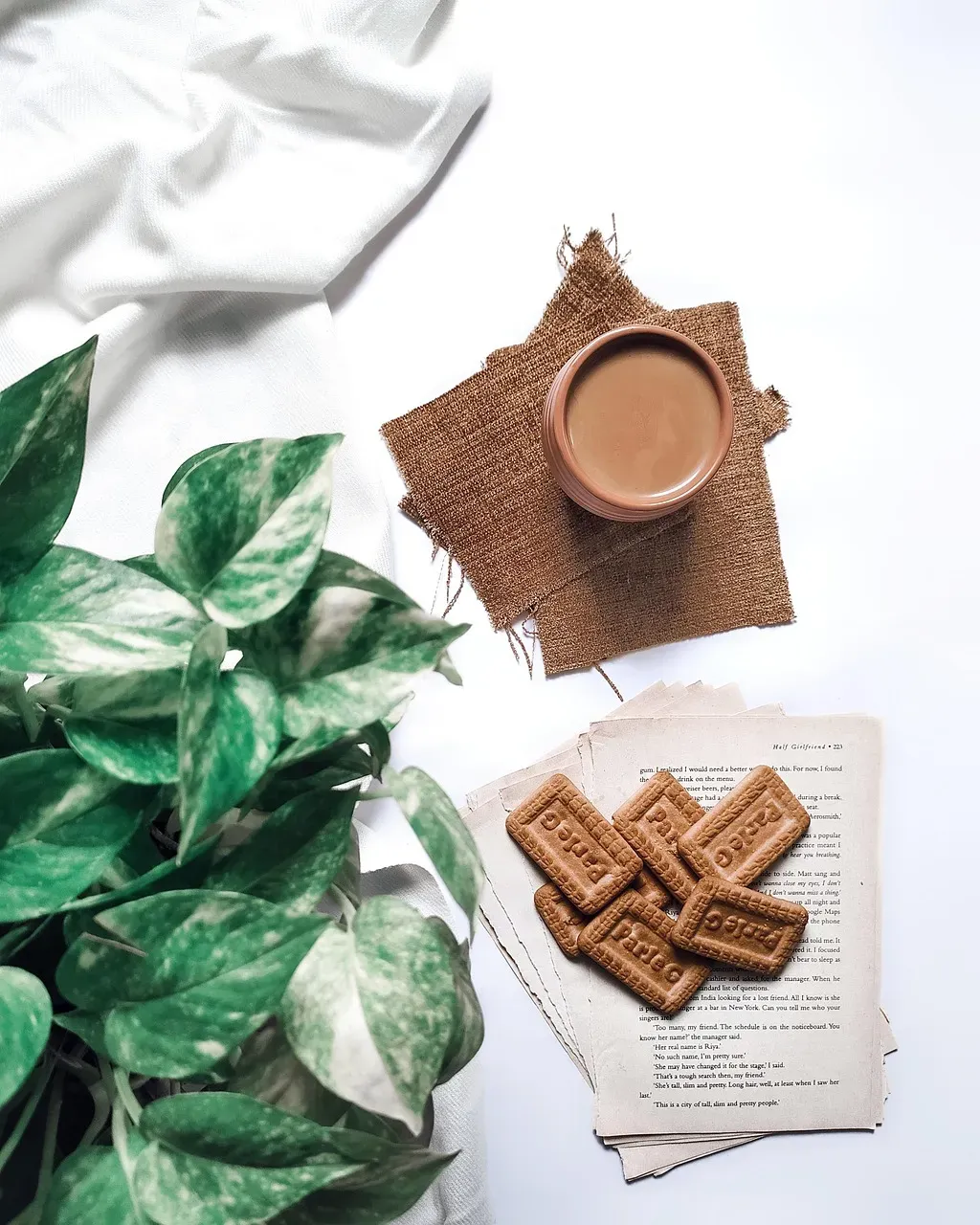 Scorpio: Ashwagandha Chai for Deep Stress Resilience (Image Credits: Pixabay)