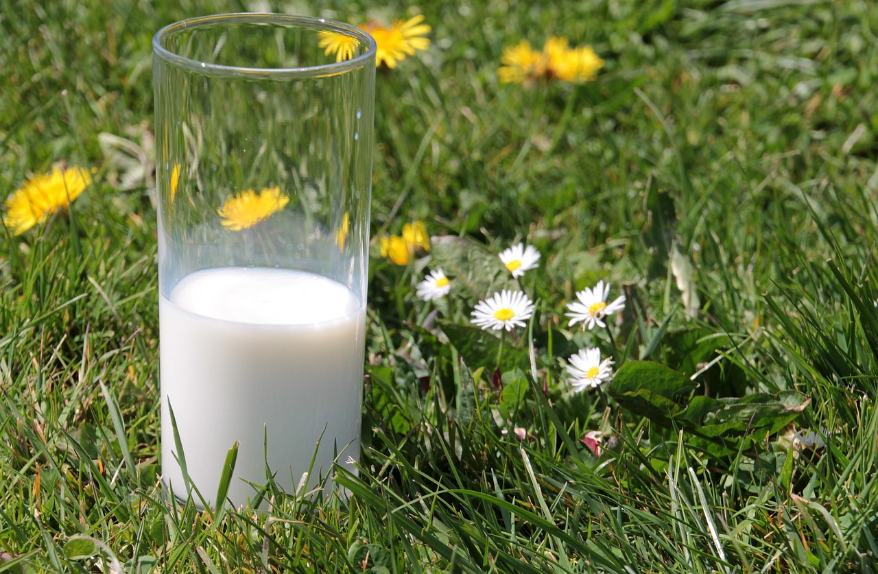 Protein Power: Which Milk Stands Out? (image credits: pixabay)