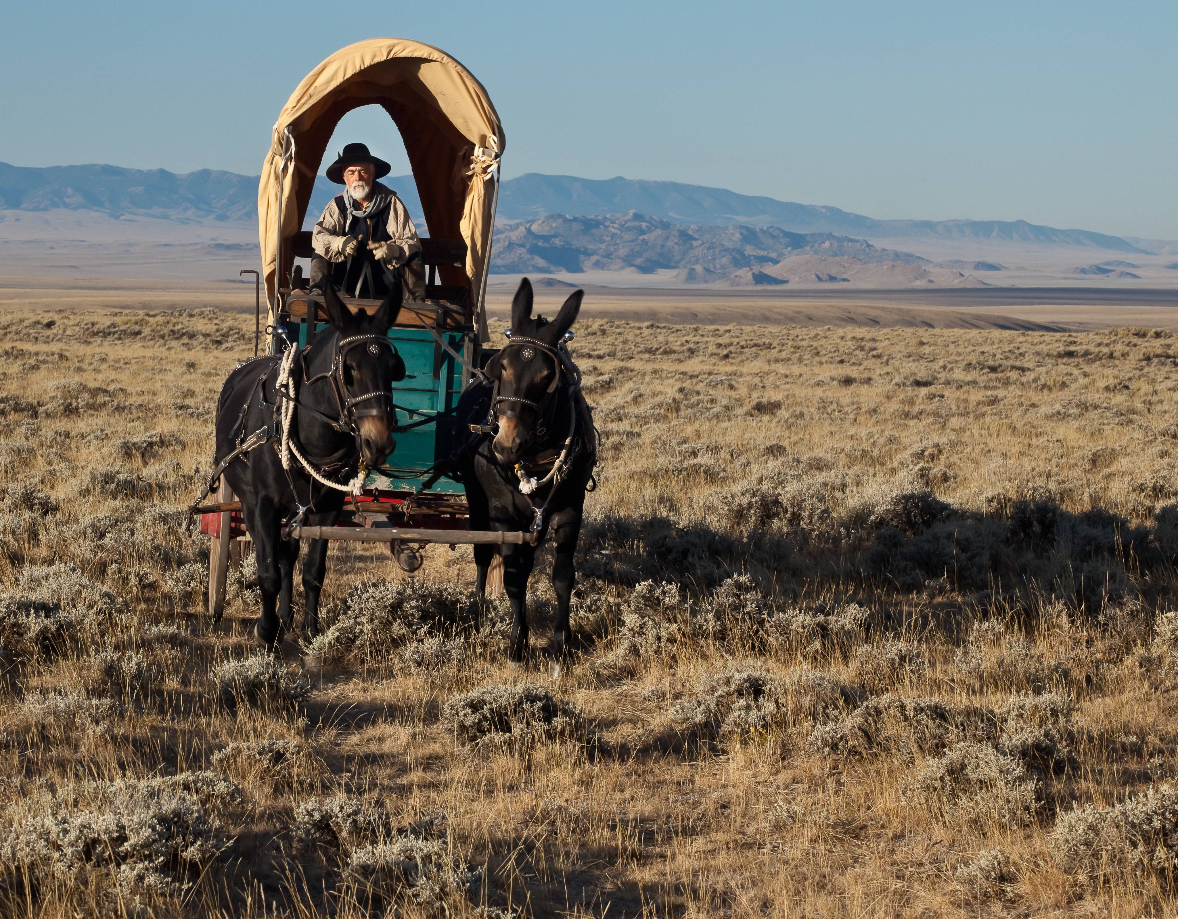 The Oregon Trail Pioneer: Carl Griffith's 1847 Heritage (image credits: wikimedia)