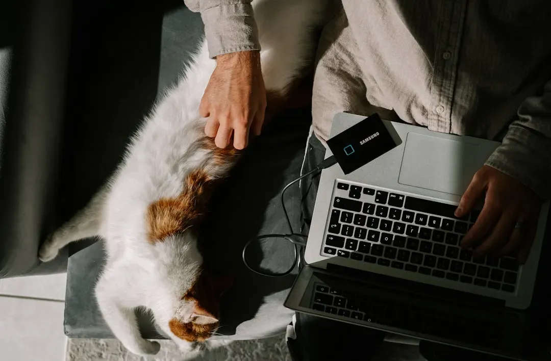 Conclusion: Knowing What You're Getting Into (Image Credits: Unsplash)