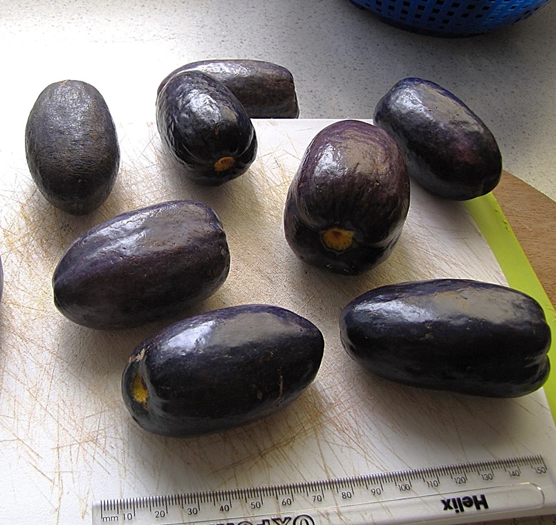 Pears: The Sweet Fiber Fruit (image credits: wikimedia)