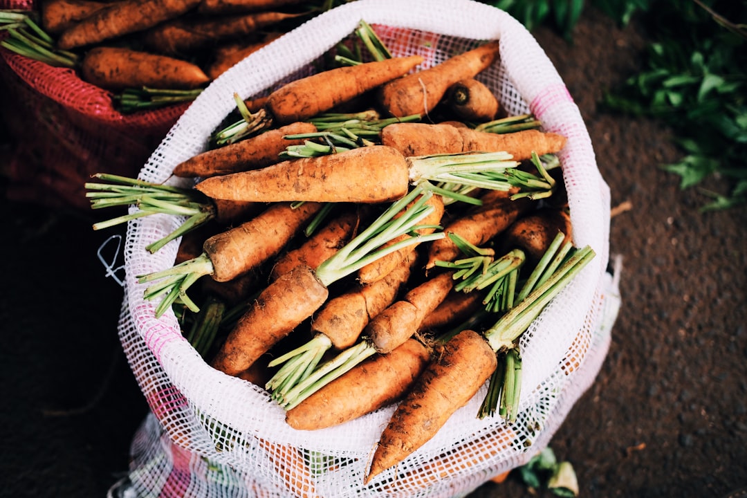 Changed Consumer Attitudes Towards Imports (image credits: unsplash)