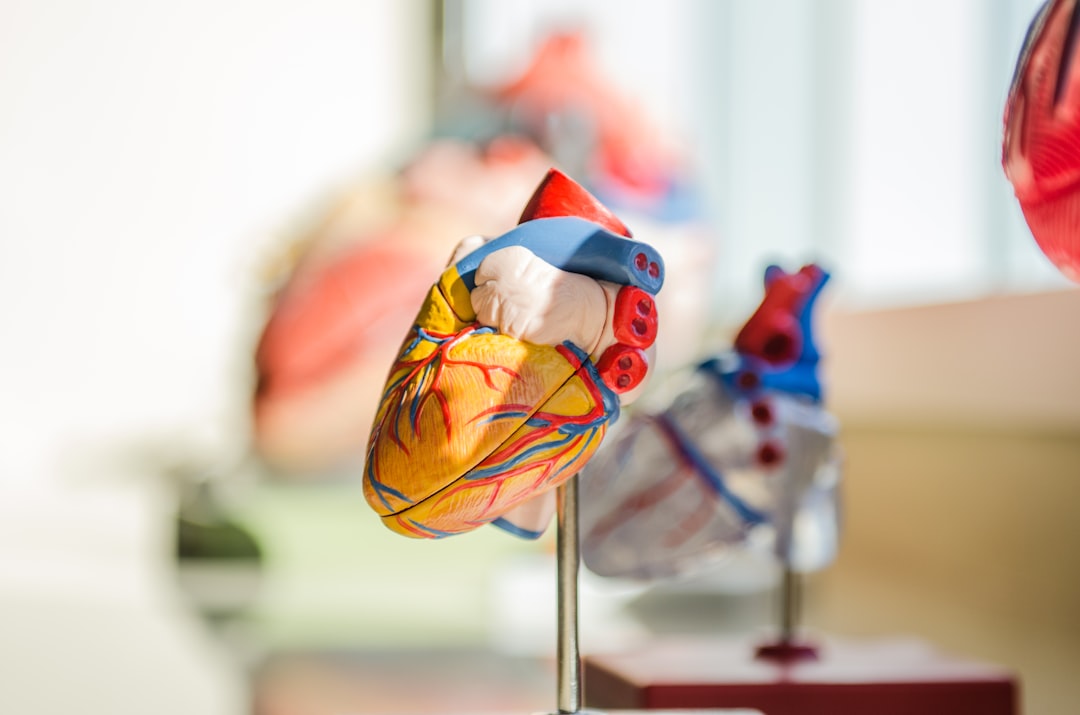 The Bottom Line: Your Blood Pressure's New Best Friend (image credits: unsplash)