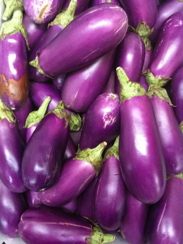 3. Eggplant: Nutrient-Dense but Worth Watching (robynejay, Flickr, CC BY-SA 2.0)