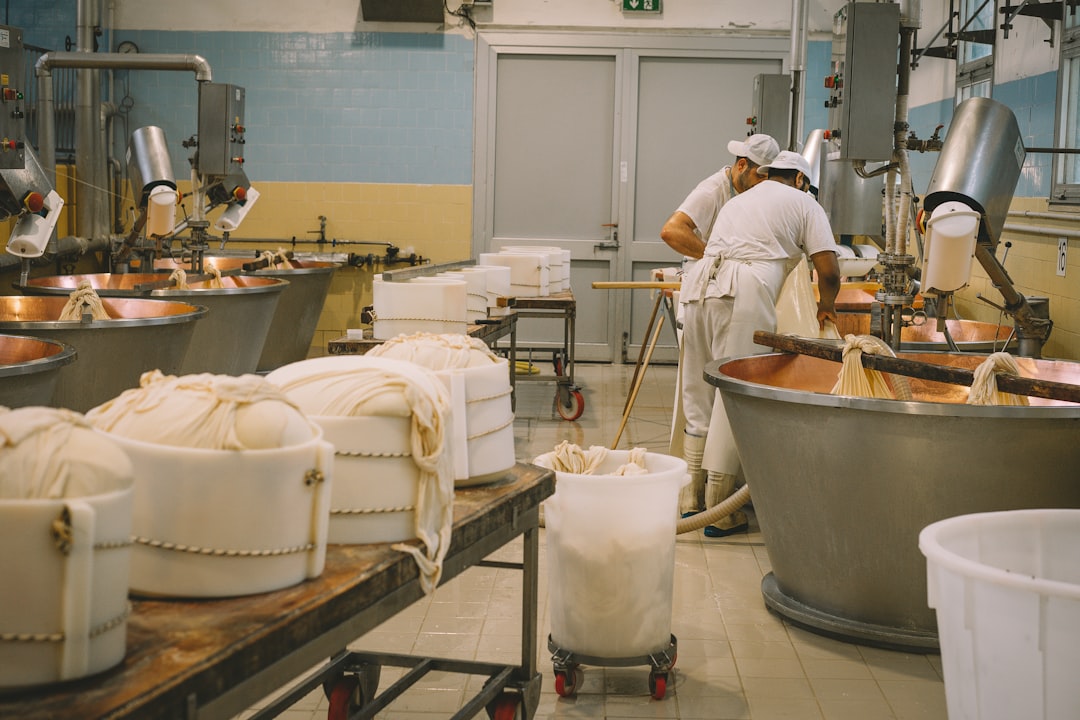 Domestic Cheese Producers: Winners or Losers? (image credits: unsplash)