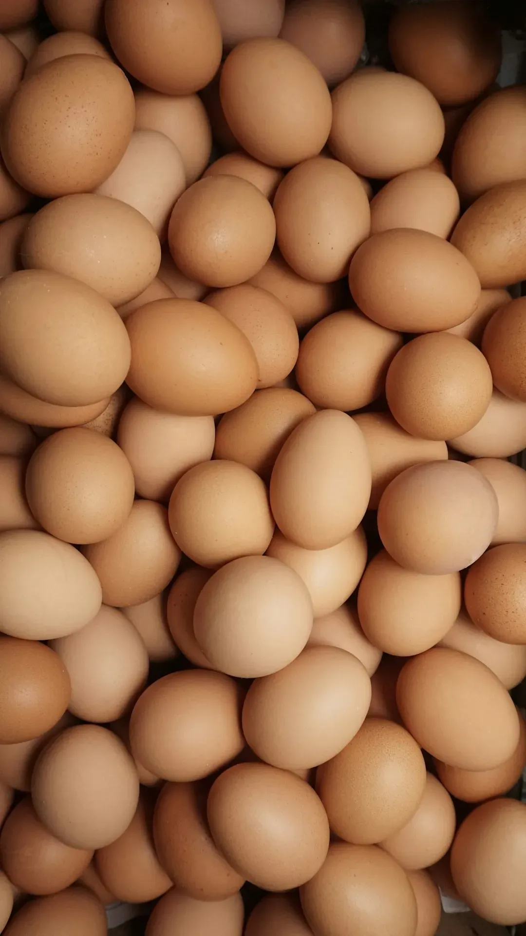 Always Buy: Fresh Eggs (Image Credits: Unsplash)