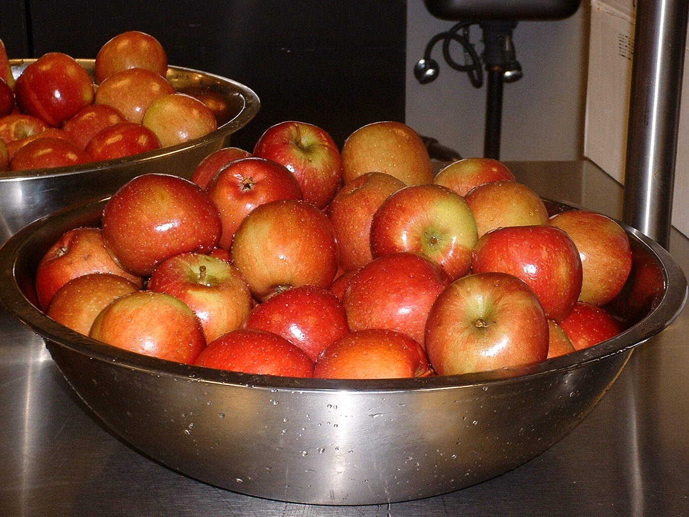 Culinary Uses: Versatility in the Kitchen (image credits: wikimedia)