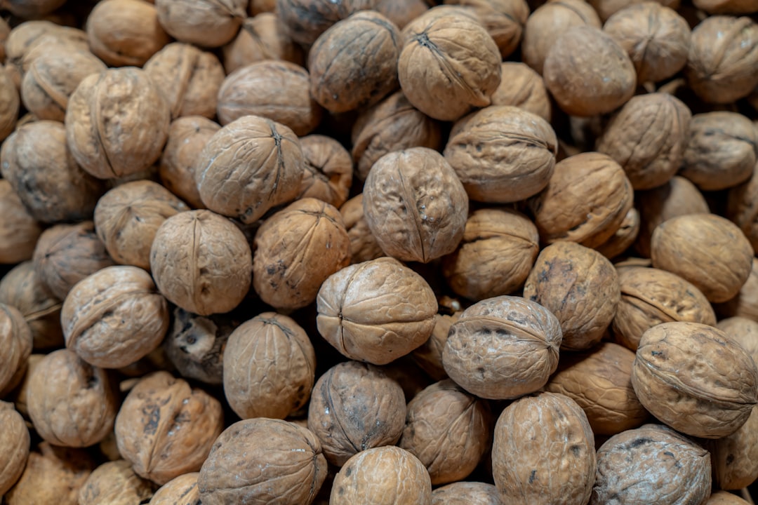 Walnuts: Brain Food with a Protein Boost (image credits: unsplash)