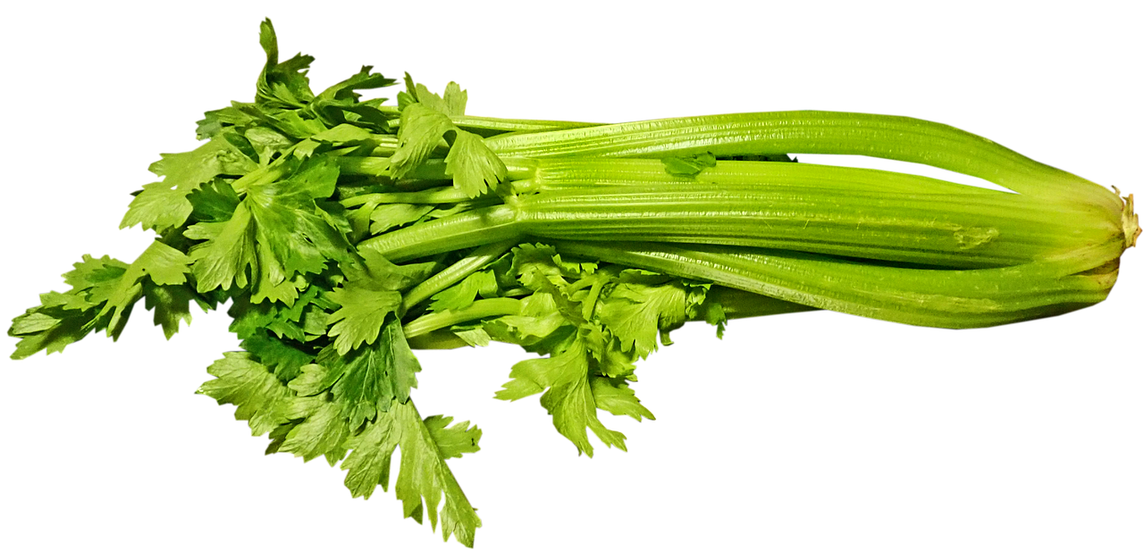 Celery: Crunchy Support for Kidney Cleansing (image credits: pixabay)